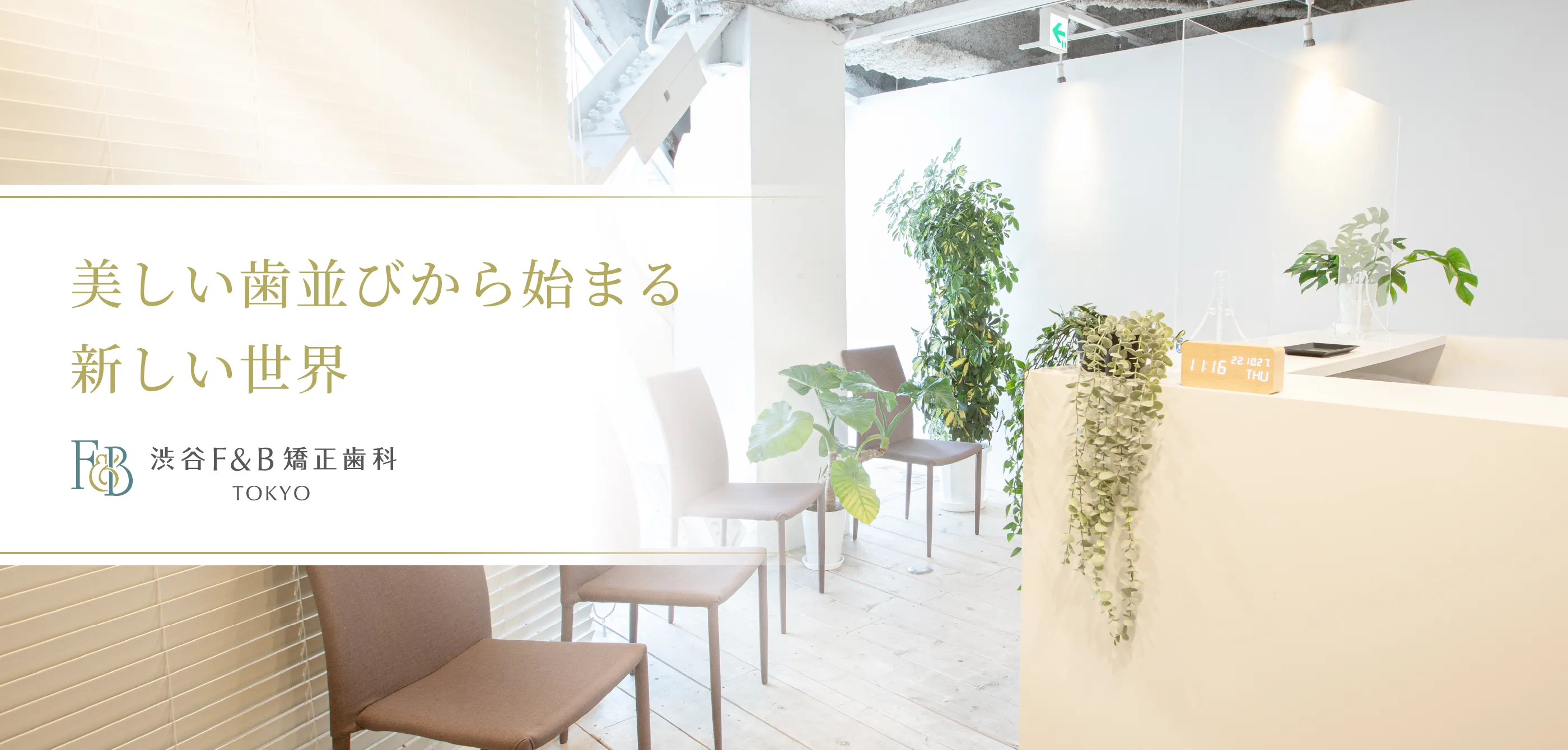 美しい歯並びから始まる新しい世界